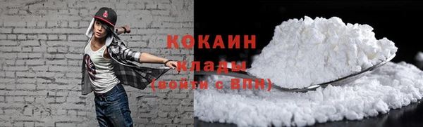 соль ск Алзамай