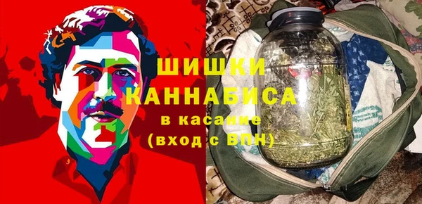 соль ск Алзамай
