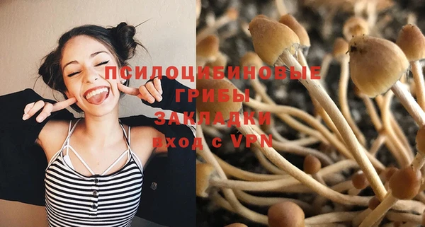 соль ск Алзамай